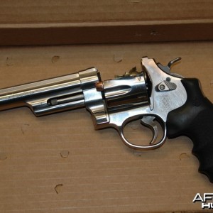 .44 Magnum Accident