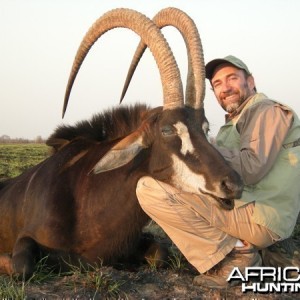 Incredible 51 inch Sable