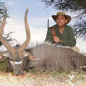 Nyala