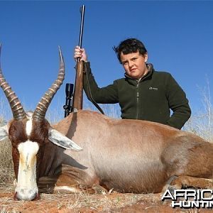 Blesbok