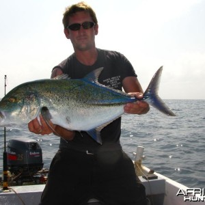 Bluefin Trevally