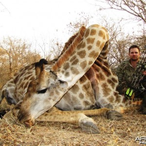 Bowhunting Giraffe in South Africa with Dalerwa Ventures for Wildlife