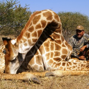 Hunting Giraffe in South Africa with Dalerwa Ventures for Wildlife