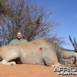 Cape Eland