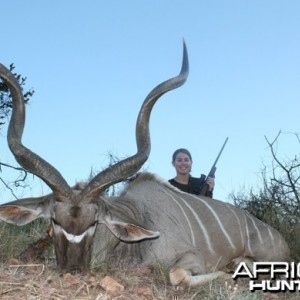 Greater Kudu