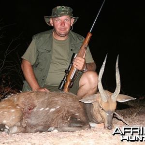 Bushbuck