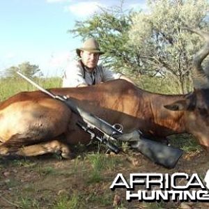 Hartebeest