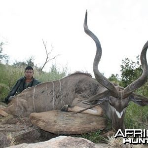 Greater Kudu