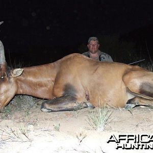 Hartebeest