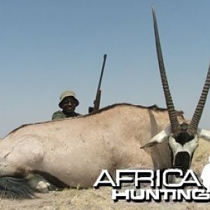 Gemsbok