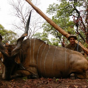 Hunting Giant Eland in CAR