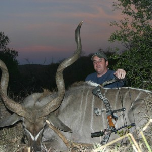 Greater Kudu