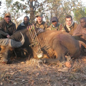 Bowhunting Buffalo CAR