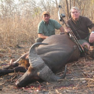 Bowhunting Buffalo CAR