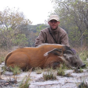 Red river hog hunting in CAR