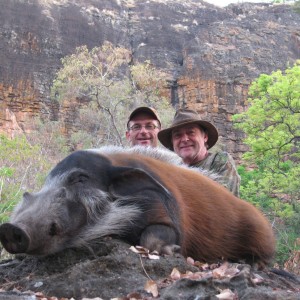 Red river hog hunting in CAR