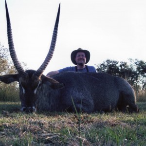 Waterbuck (28 3/4 inches long) Mhimbi Safari