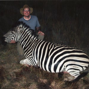 Burchell Zebra - Mhimbi Safari