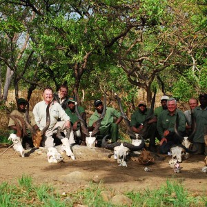 End of safari in CAR