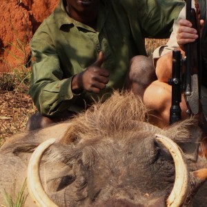 15,8 inch warthog taken march 2009