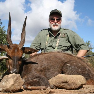 Nice Bushbuck