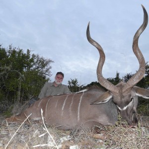 Nice old Kudu