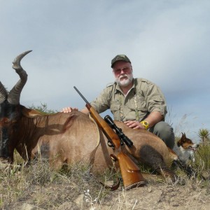 Red Hartebeest.