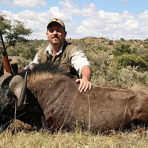 Black Wildebeest