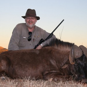 Black Wildebeest