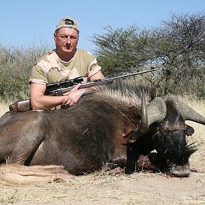 Black Wildebeest