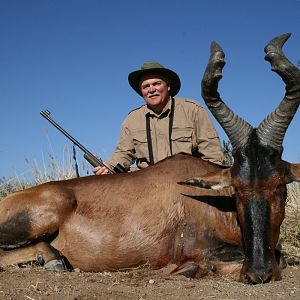 Red Hartebeest