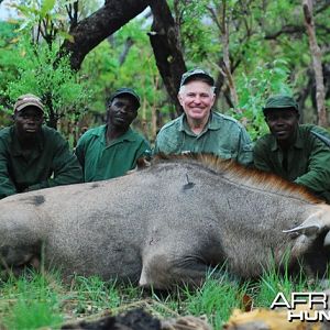 Western Roan shot at CAWA-safari in eastern CAR