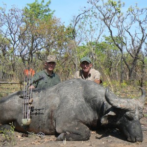 Bowhunting Buffalo CAR