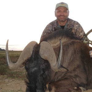 Black Wildebeest w/ bow , took with Warthog Safaris