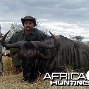 Blue Wildebeest Hunting in Namibia