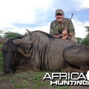 Blue Wildebeest Hunting in Namibia