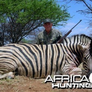 Burchell's Zebra (Plain Zebra) Namibia