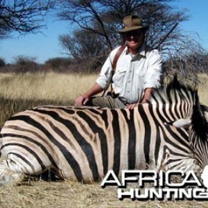 Burchell's Zebra (Plain Zebra) Namibia