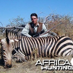 Hartmann's Zebra (Mountain Zebra) Namibia