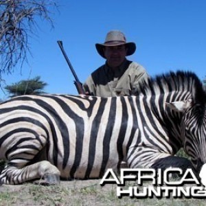 Burchell's Zebra (Plain Zebra) Namibia