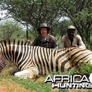 Burchell's Zebra (Plain Zebra) Namibia