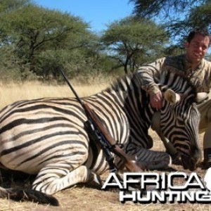 Burchell's Zebra (Plain Zebra) Namibia