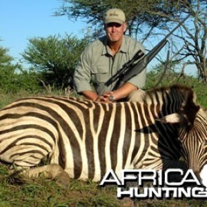 Burchell's Zebra (Plain Zebra) Namibia