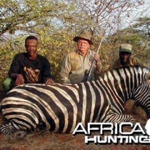 Burchell's Zebra (Plain Zebra) Namibia