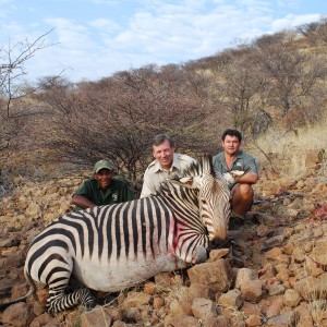 Mountain Zebra