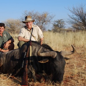 Ancient Wildebeest