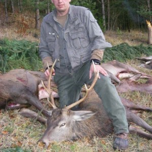 A fine 3B Hirsch from the 2009 Cull Shoot, Grafenwohr Germany