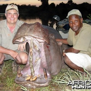 Hunting Hippo Zimbabwe