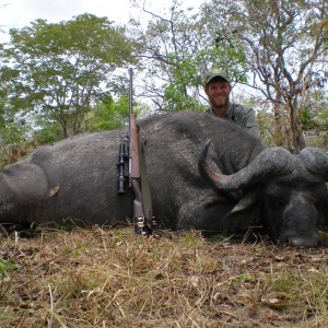 Selous LL3 Cape Buffalo Tanzania