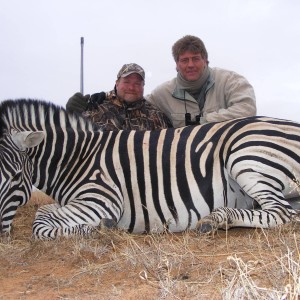 Burchell's Zebra